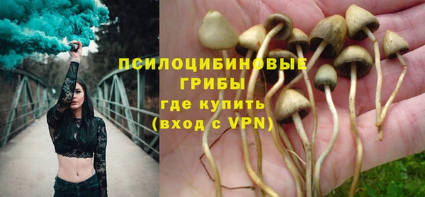 герыч Алексин