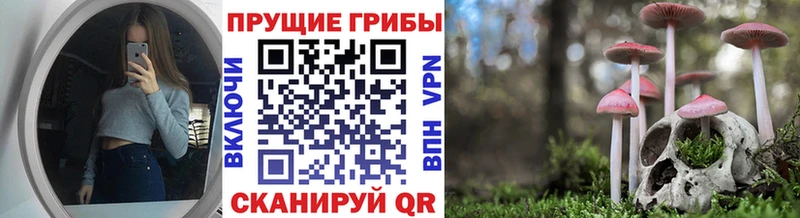 Галлюциногенные грибы GOLDEN TEACHER kraken tor Дубна